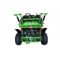 Газ Go Kart 2 Seater для детей СЕРЕДИНЫ XRX Грин